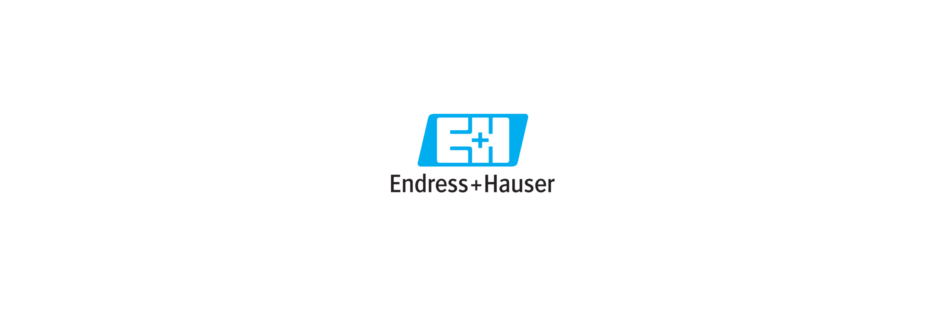 Endress & Hauser - Klenk Maschinenhandel