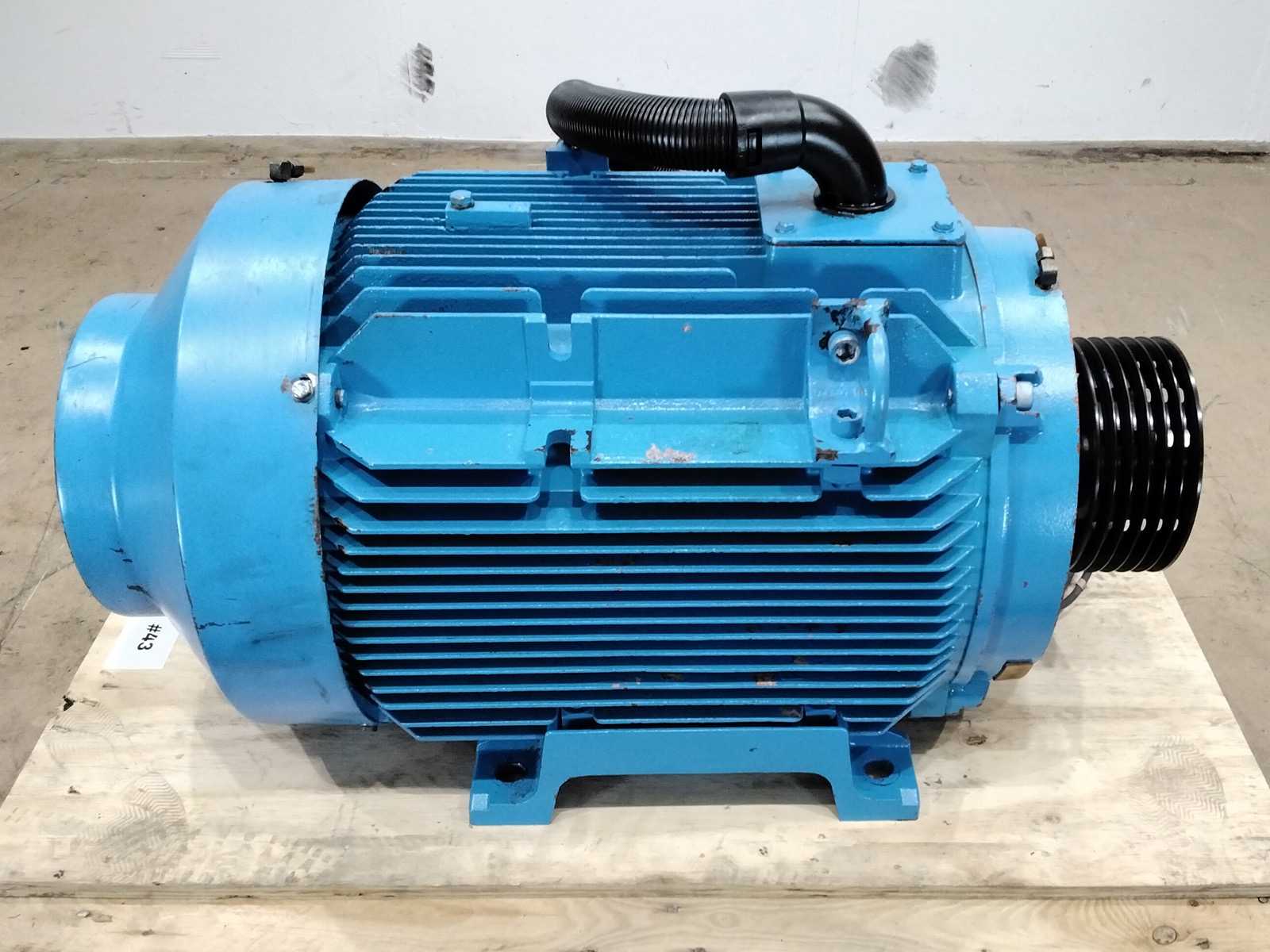 Brook Crompton Elektromotor WP-DF250MN